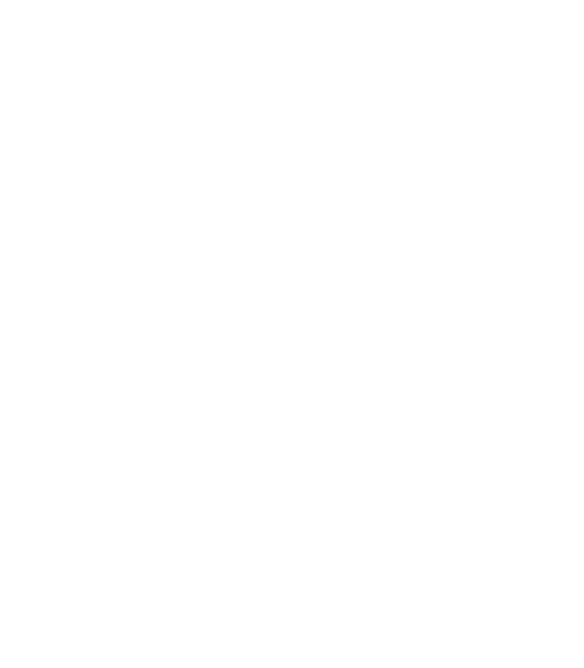 The Fox